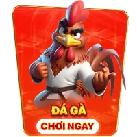 Đá gà abc8
