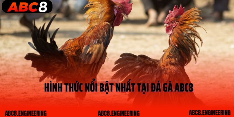 Hình thức nổi bật nhất tại Đá gà ABC8