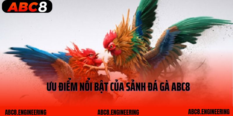 Ưu điểm nổi bật của sảnh Đá gà ABC8