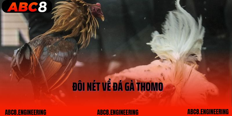 Đôi nét về đá gà Thomo