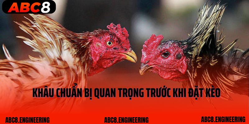 Khâu chuẩn bị quan trọng trước khi đặt kèo